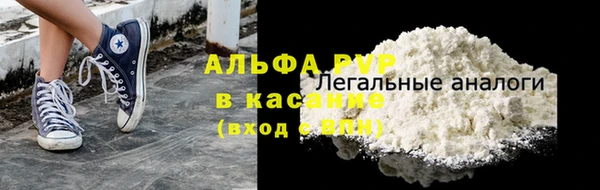PSILOCYBIN Инсар