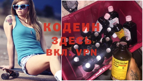 мдпв Инта