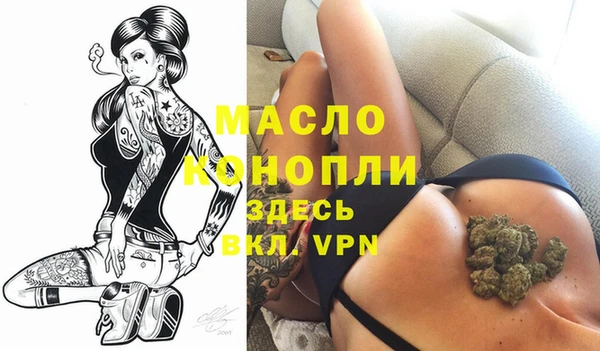 мдпв Инта