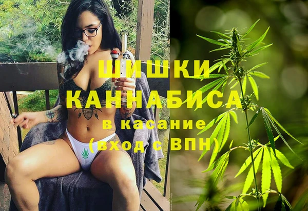 PSILOCYBIN Инсар