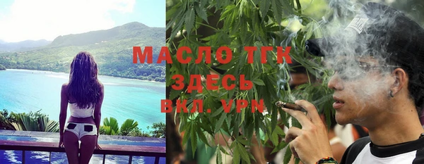 мдпв Инта