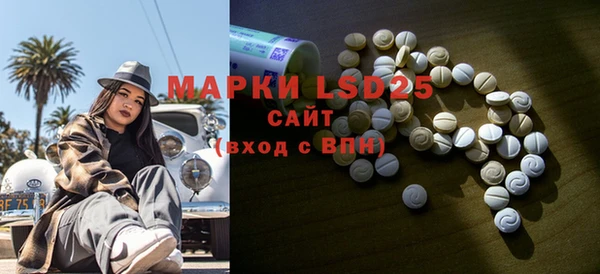 PSILOCYBIN Инсар
