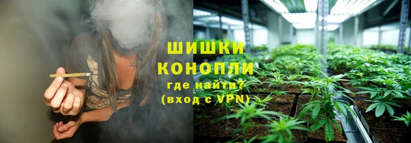 PSILOCYBIN Инсар