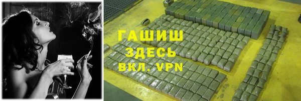 мдпв Инта